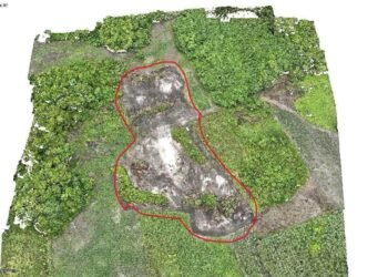 DESTRUYEN SITIO ARQUEOLÓGICO MAYA