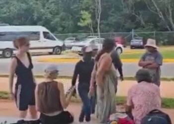 Prohíben a turistas sentarse bajo los árboles