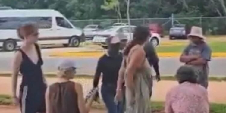 Prohíben a turistas sentarse bajo los árboles