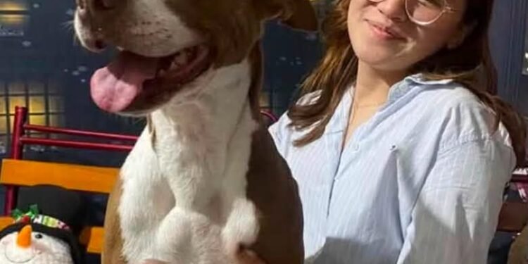 Pleito por un perro