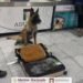 MAX IV, BINOMIO CANINO DEL AICM