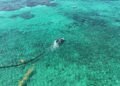 Playa del Carmen blinda su litoral con cinco kilómetros de barreras antisargazo