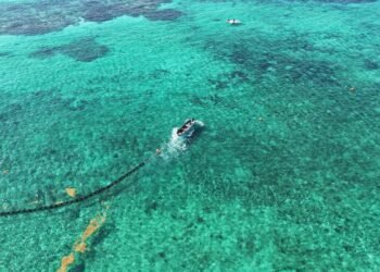 Playa del Carmen blinda su litoral con cinco kilómetros de barreras antisargazo