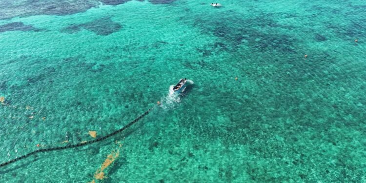 Playa del Carmen blinda su litoral con cinco kilómetros de barreras antisargazo