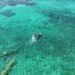 Playa del Carmen blinda su litoral con cinco kilómetros de barreras antisargazo