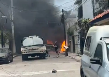 Restringen playas de Mazatlán por cocodrilo; intensifican operativo para capturarlo