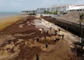 México refuerza combate al sargazo con barreras y embarcaciones en Quintana Roo