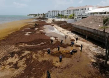 México refuerza combate al sargazo con barreras y embarcaciones en Quintana Roo