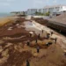 México refuerza combate al sargazo con barreras y embarcaciones en Quintana Roo