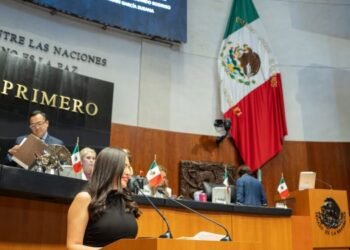 Aprobaron en el Senado iniciativa impulsada por Anahí González para garantizar la igualdad de mujeres indígenas y afromexicanas