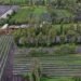 Conquista Ciudad de México Premio Internacional Ciudad Verde 2026 por el programa Altépetl Bienestar