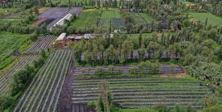 Conquista Ciudad de México Premio Internacional Ciudad Verde 2026 por el programa Altépetl Bienestar