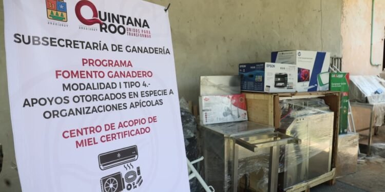 Fortalece Gobierno de Quintana Roo apicultura con equipamiento e inversión