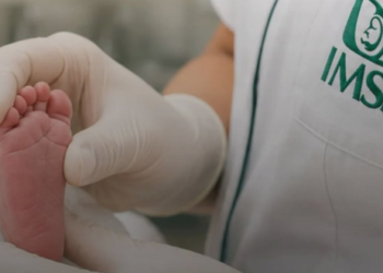 IMSS reconoce entrega equivocada de dos recién nacidas en hospital de Mexicali