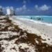 Recolectan 48 mil toneladas de basura en playas de Cancún en lo que va de 2026
