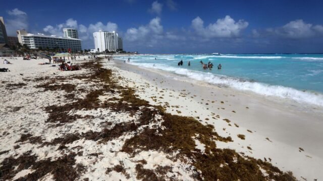 Recolectan 48 mil toneladas de basura en playas de Cancún en lo que va de 2026