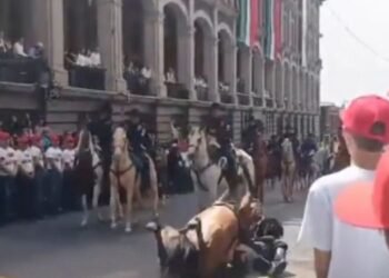 Un agente de la policía montada resulta lesionado tras caída de su caballo durante el desfile en Cuernavaca