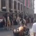 Un agente de la policía montada resulta lesionado tras caída de su caballo durante el desfile en Cuernavaca