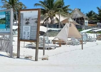 Hoteleros de Tulum solicitan reestructuración financiera ante caída de ocupación al 15 %