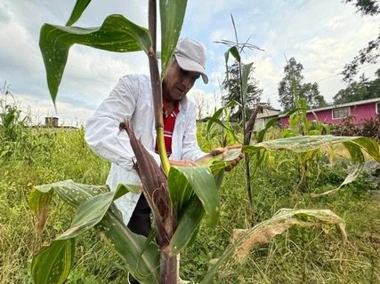 Súper El Niño 2026-2027 recortará 0.59% al PIB y disparará inflación alimentaria: S&P