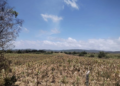 Cierran la México-Querétaro por choque múltiple; la fila alcanza 18 kilómetros