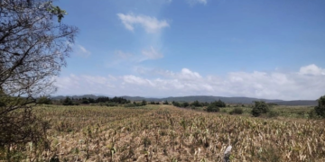 Cierran la México-Querétaro por choque múltiple; la fila alcanza 18 kilómetros