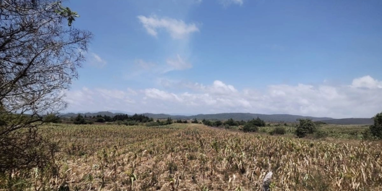 Cierran la México-Querétaro por choque múltiple; la fila alcanza 18 kilómetros