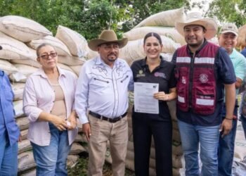 Estefanía Mercado entrega nueve toneladas de maíz a productores ganaderos de Playa del Carmen