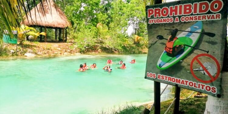 Operativos y clausuras de Profepa en Bacalar desatan preocupación entre pequeños y medianos empresarios