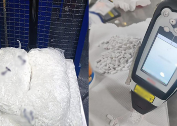 Aseguran más de 8 mil pastillas de sustancias controladas en la Terminal 1 del AICM