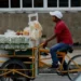 Licencias de Funcionamiento en Othón P. Blanco Condicionadas a la No Contratación de Menores de Edad