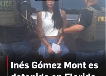 Inés Gómez Mont, Detenida