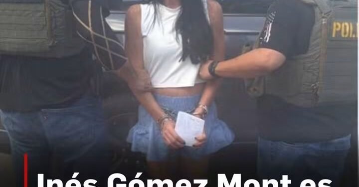 Inés Gómez Mont, Detenida