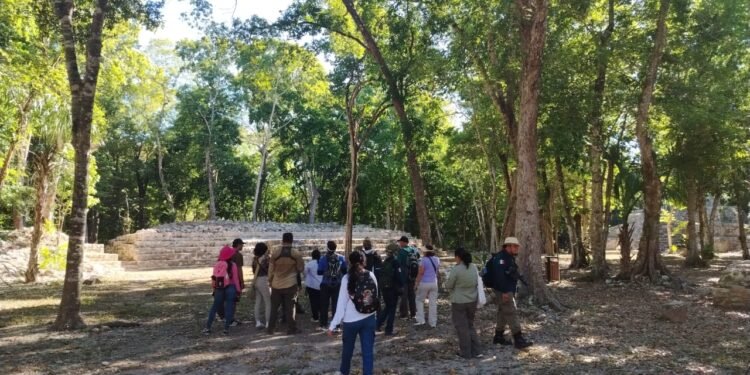 Impulsa Gobierno de Quintana Roo la participación ciudadana en la primera Pajareada de “Tras las Alas de la Biodiversidad”