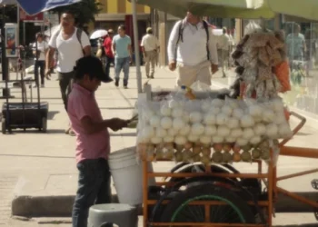 Aumenta el Trabajo Infantil en Quintana Roo; la Tasa Pasó de 6.9% a 10.1% en Tres Años