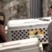 Rescatan a 46 perros en condiciones de hacinamiento en Tlalpan: vivían sin agua, comida ni techo