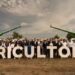 Grupo Modelo va por el campo: comprará 100 mil toneladas extra de cebada mexicana al año